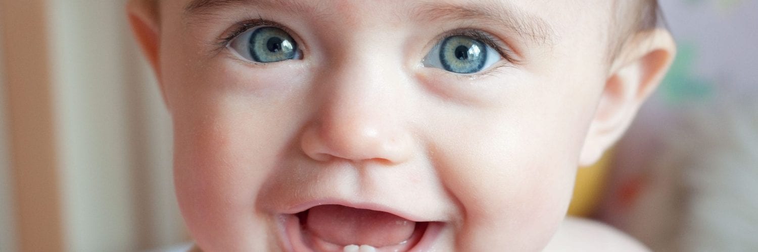 Dos dentes de leite aos permanentes: Tudo sobre os dentes da criança
