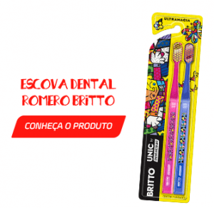 Escova Dental Romero Britto
